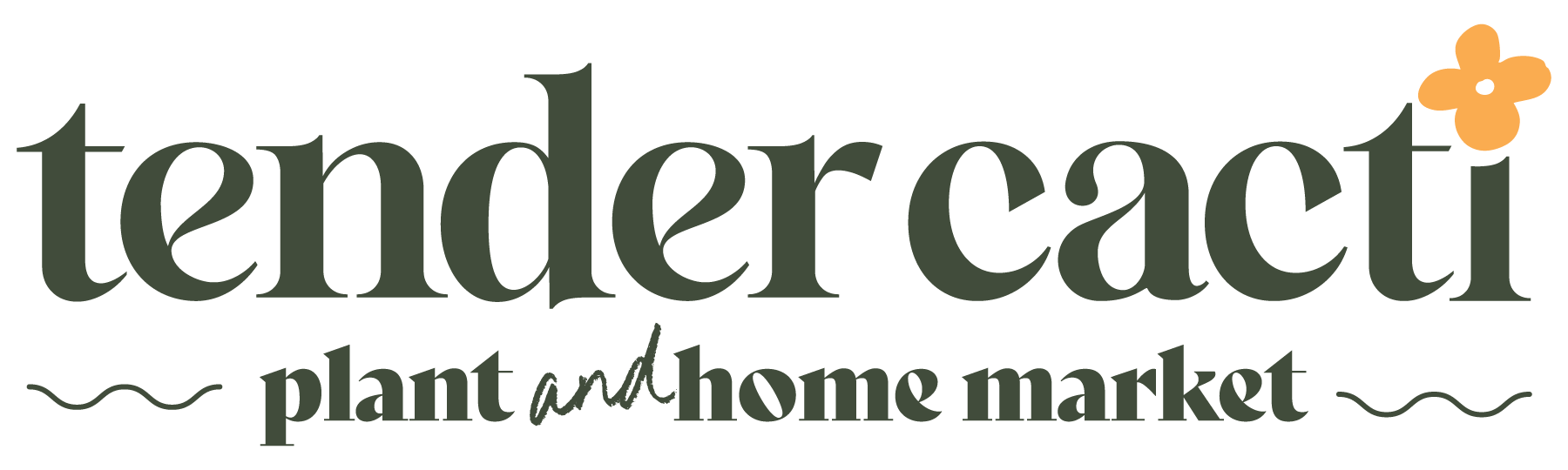 Tender Cacti Plant & Home Market