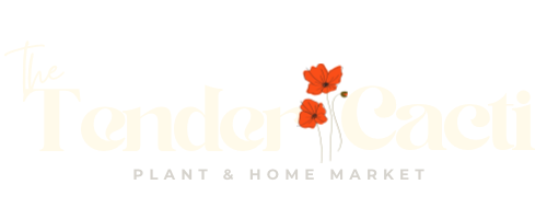 Tender Cacti Plant & Home Market